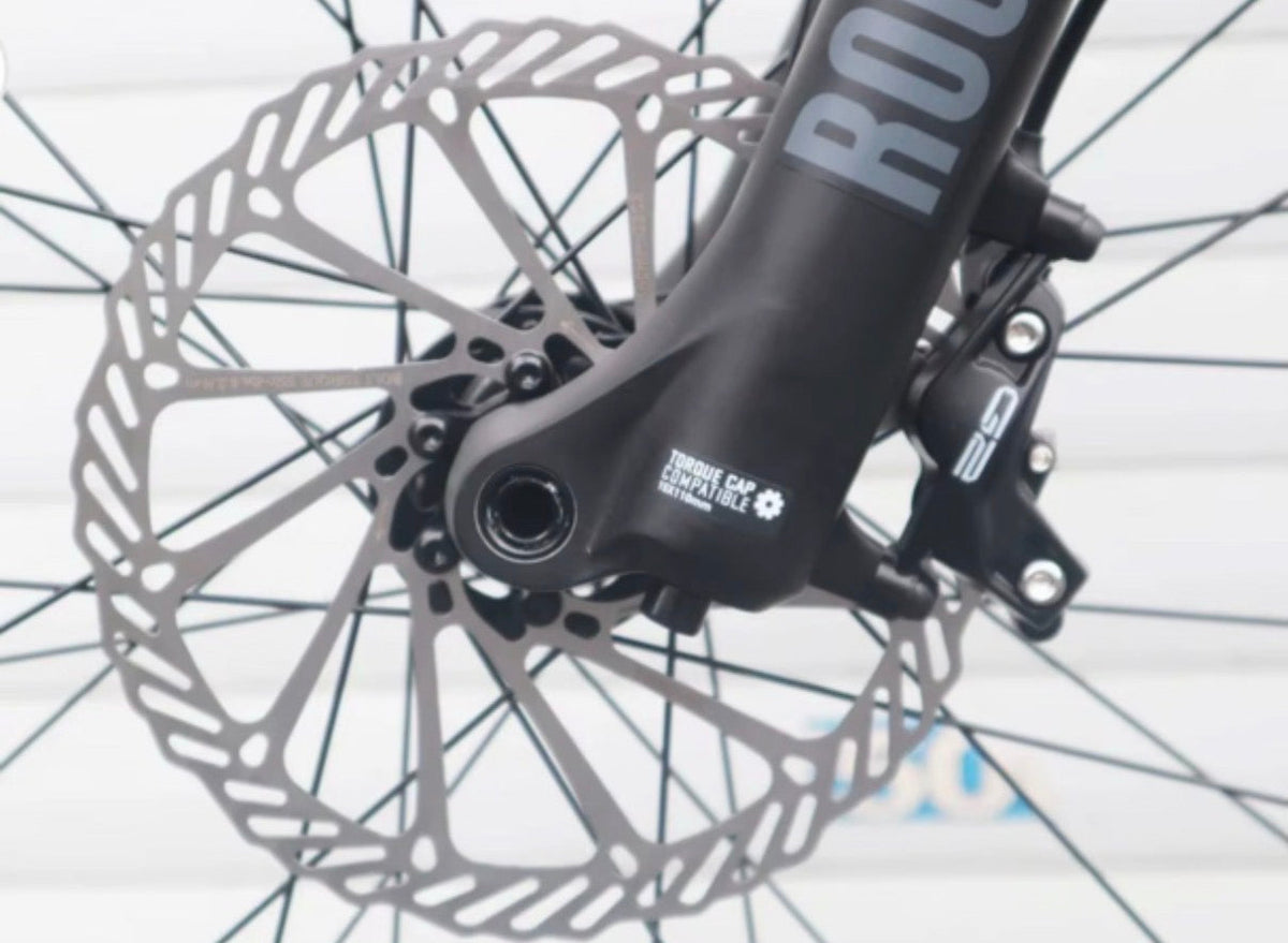 Evolve Evo Carbon EMTB front brake and rotor detail