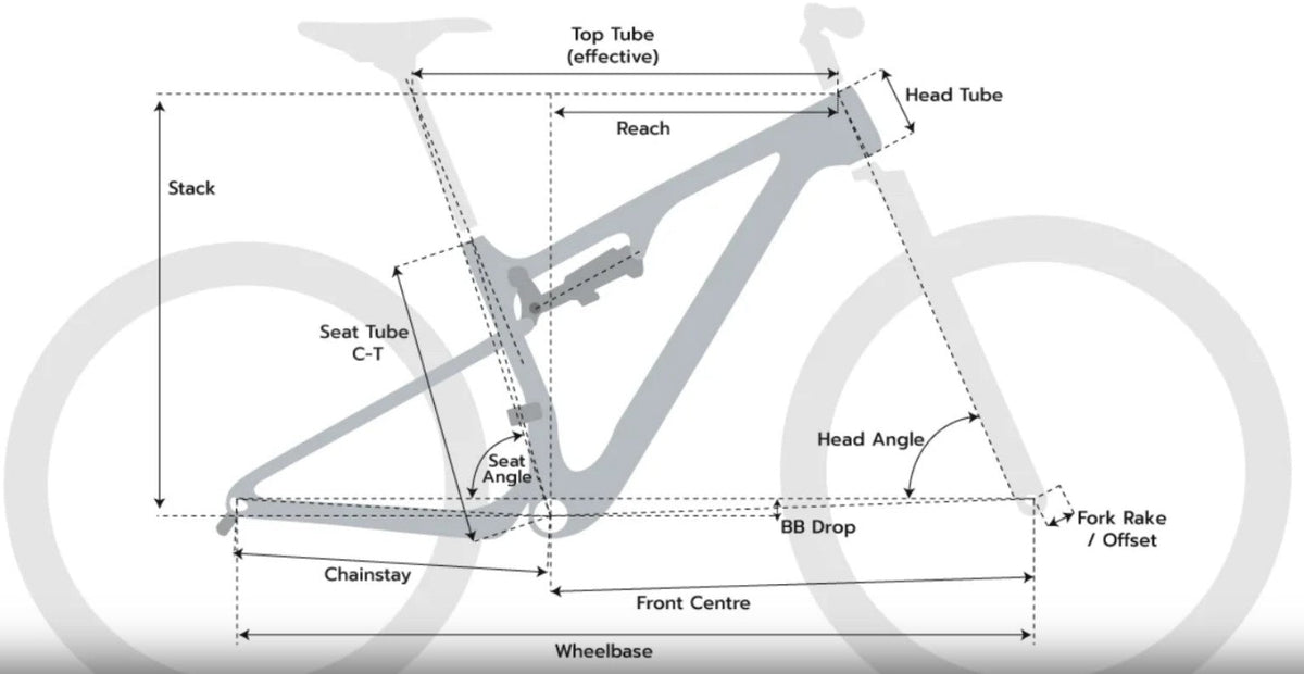Evolve Evo Carbon MTB frame geometry measurement guide